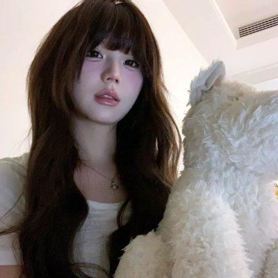 我们窃取秘密维基解密的故事